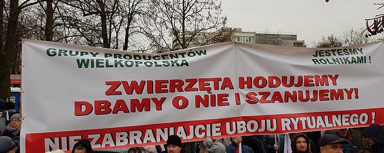 Protest przed Sejmem przeciwko zakazowi uboju rytualnego.